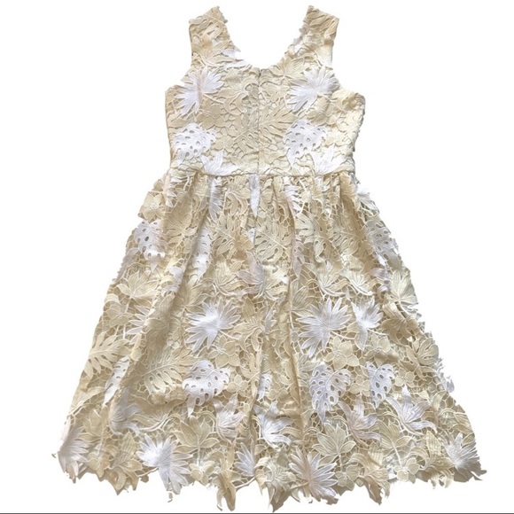 Dress The Population Rita Floral Lace Dress NWT - Picture 3 of 12